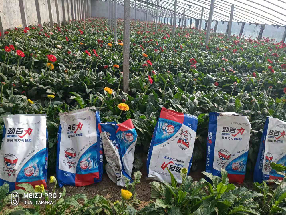 1553072713588674.png 圖片1.png