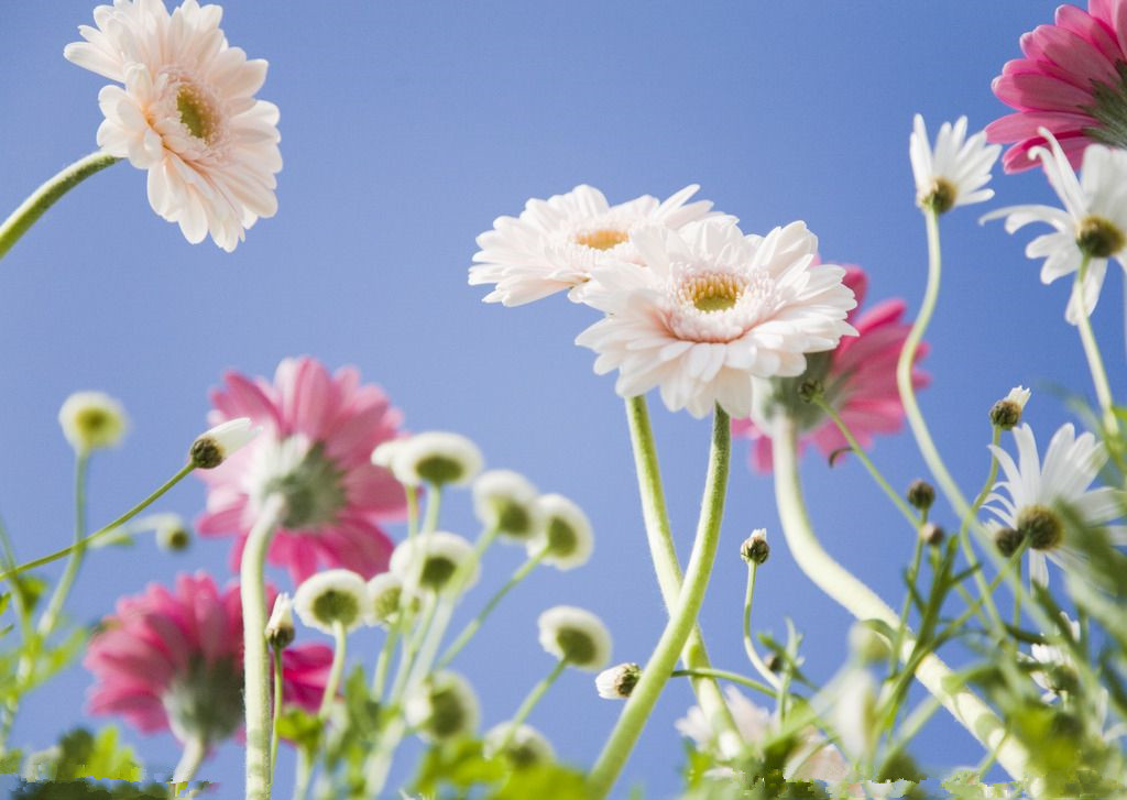 1553073948606705.png 1-8.png