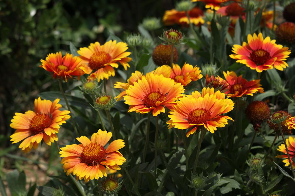 1553073969105161.png 1-9.png