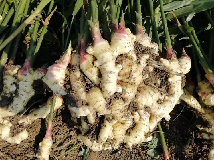 1553074712765148.png 1553074712765148.png