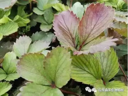 1553129556918470.png 1553129556918470.png