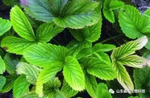 1553129719130110.png 1553129719130110.png