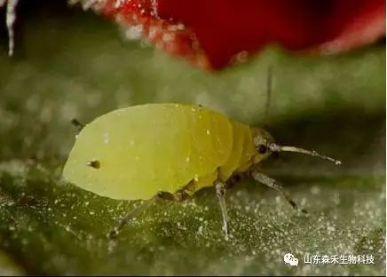 1553129942520684.png 1553129942520684.png