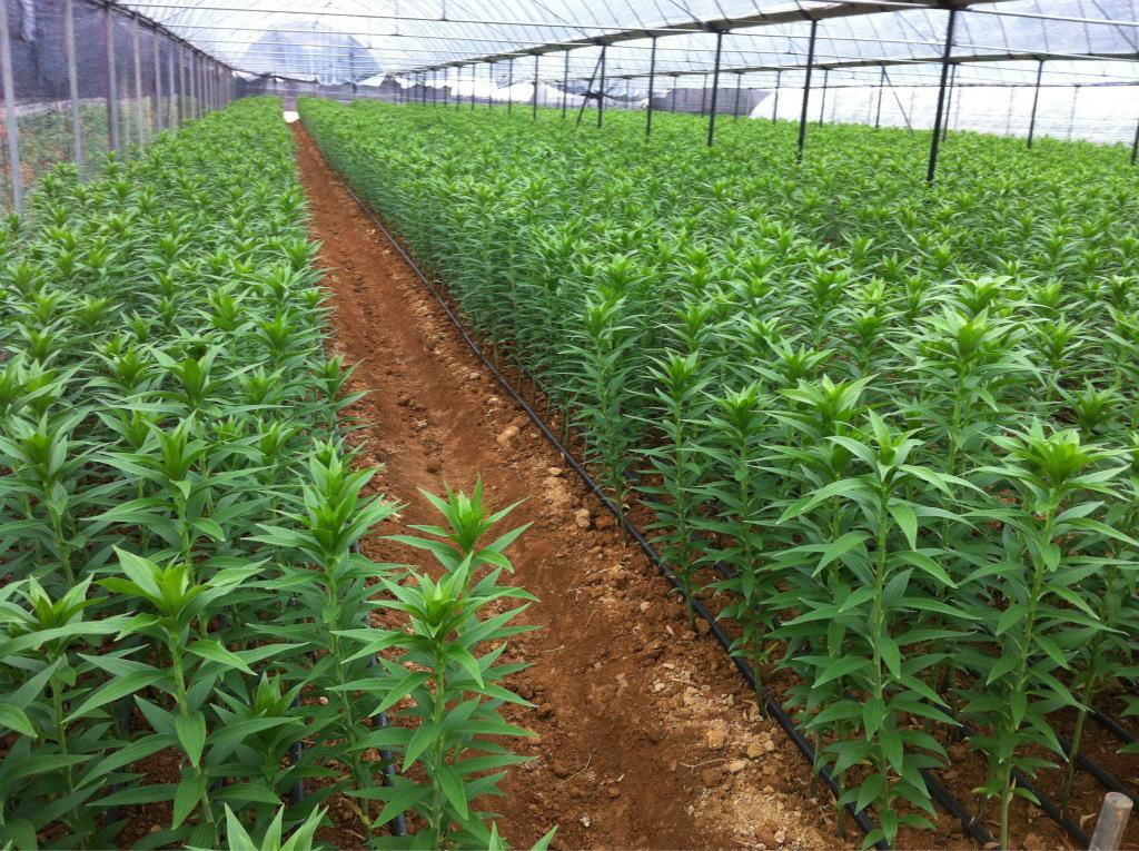 1553132560549946.png 2-3.png