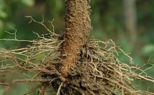 1553133486115893.png 1553133486115893.png