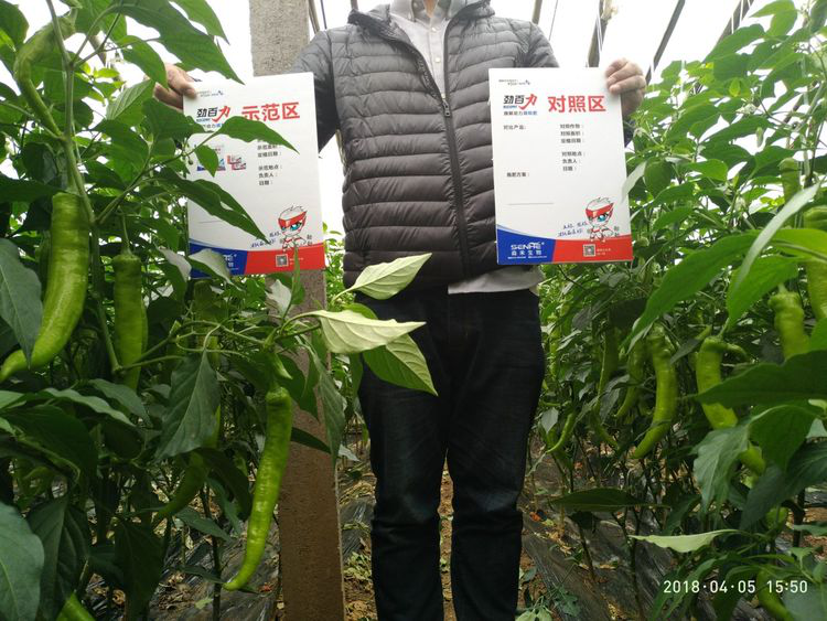 1553134252131130.png 1553134252131130.png