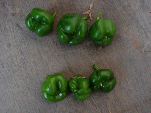 1554175069595387.png 空5.png