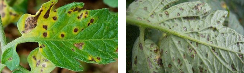 1561788316813989.jpg 3.jpg