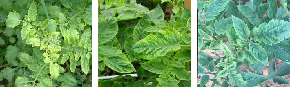 1561788732561306.jpg 6.jpg