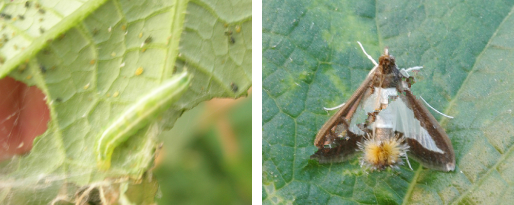 1561792095549171.jpg 13.jpg