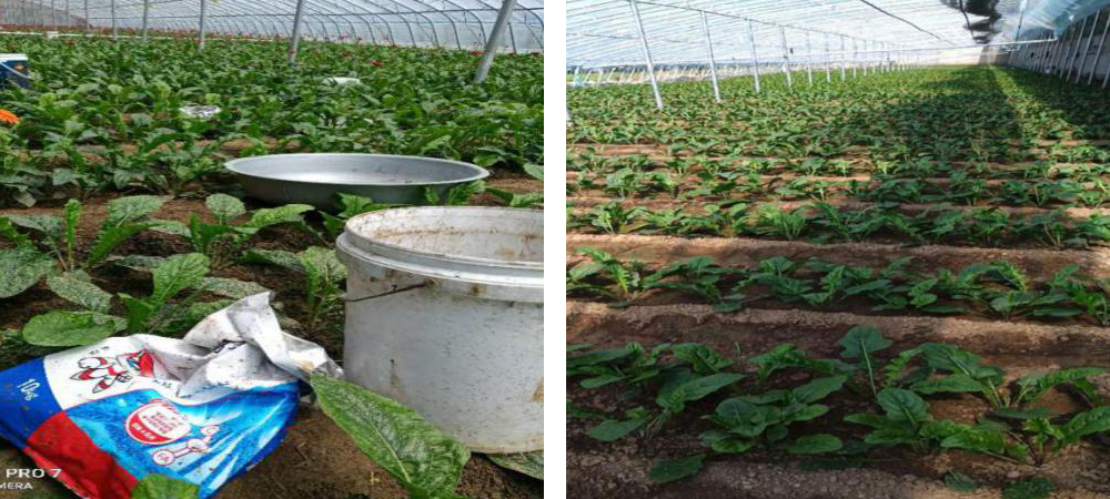 1562053129945580.jpg QQ圖片20190702153710.jpg