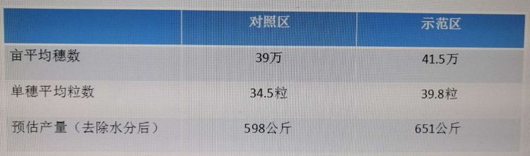 1592357308257897.jpg 14.jpg