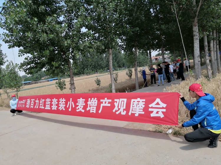 1592357379848704.jpg 18.jpg